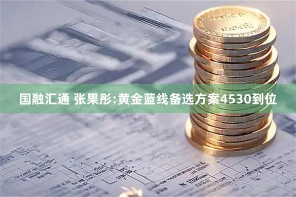 国融汇通 张果彤:黄金蓝线备选方案4530到位