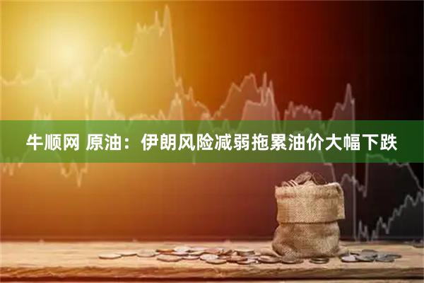 牛顺网 原油：伊朗风险减弱拖累油价大幅下跌