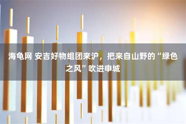 海龟网 安吉好物组团来沪，把来自山野的“绿色之风”吹进申城