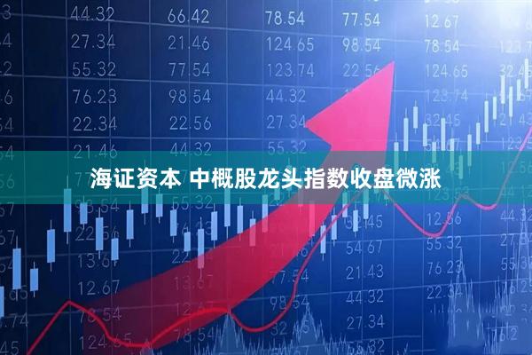 海证资本 中概股龙头指数收盘微涨
